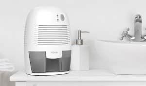 Dehumidifiers for Large Bedroom