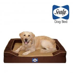 Sealy Lux Quad Layer Orthopedic Dog Bed