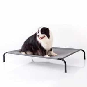 Petsure Outdoor Elevated Dog Bed
