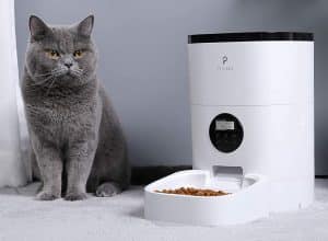 Best Automatic Dog Feeders in 2023